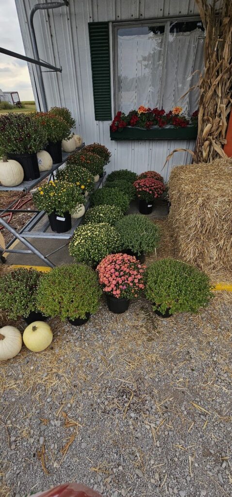 Hawkins Orchard & Market