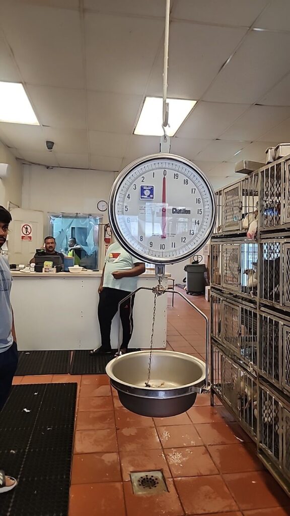 Western Live Poultry Market