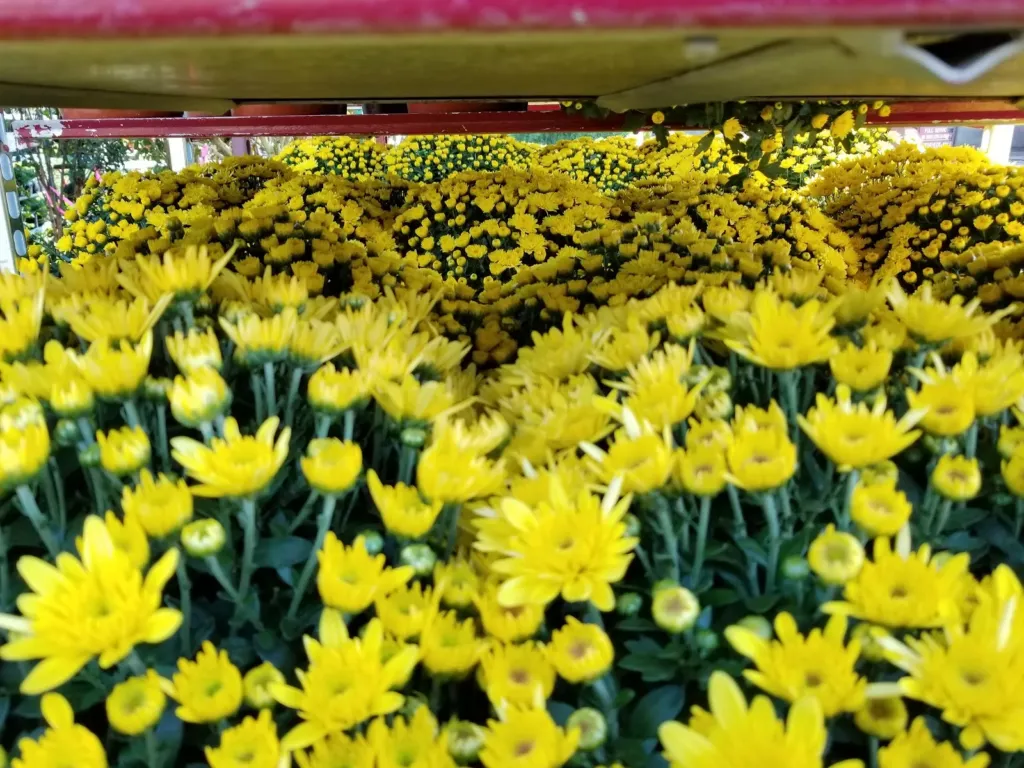 Vigliotti Landscape Service Center