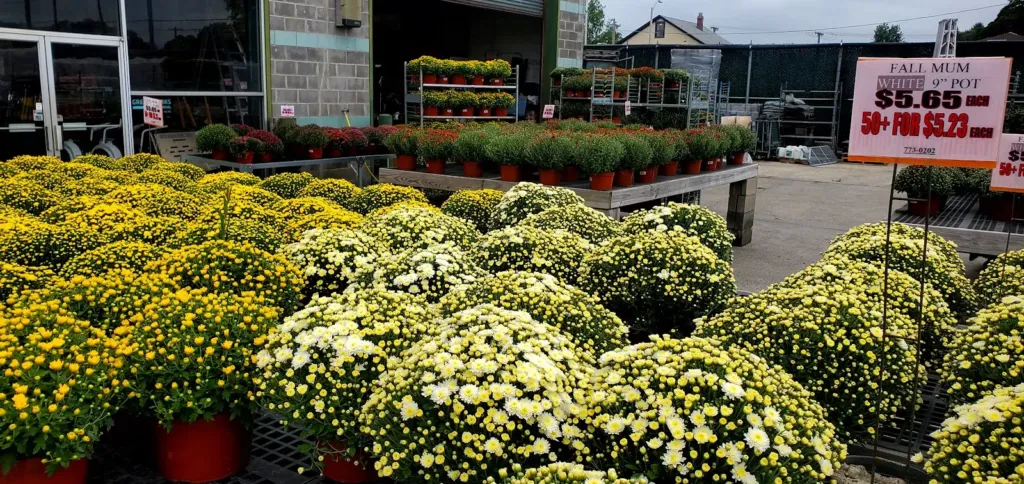 Vigliotti Landscape Service Center